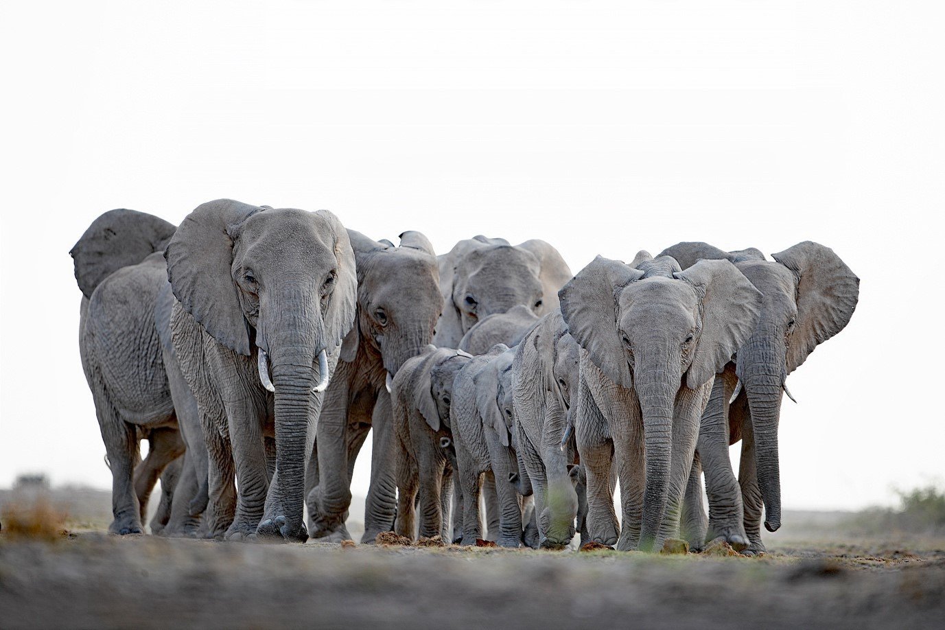 Samburu National Reserve